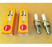 Zündkerze NGK für Brast Einhell Fuxtec Hecht Scheppach Rasenmäher ersetzt F7RTC