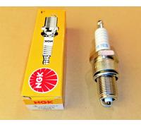 Zündkerze NGK für Brast Einhell Fuxtec Hecht Scheppach Rasenmäher ersetzt F7RTC