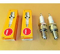 Zündkerze NGK für Hecht 40 5060 540 541 546 547 553 5410 SH SX SXW Rasenmäher