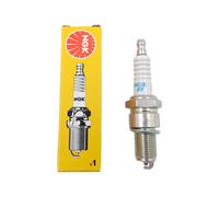 Zündkerze NGK für Hecht 746 761 548 553 5484 5534 R SW SWE SX SXE Rasenmäher