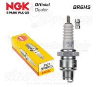 NGK Zündkerze NGK BR6HSA