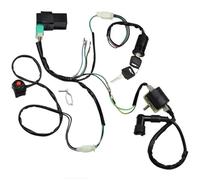 Zündmodul Zündspulen- Und CDI-Einheiten-Kit Für 90ccm, 110ccm, 125ccm, 50ccm, 70ccm ATV, Roller, Kart, Allradantrieb, Pedalmotorräder