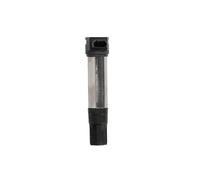 Zündspule BorgWarner (BERU) ZS385 für BMW