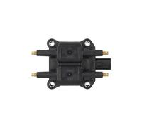 Delphi Gn10142-12B1 Zündspule für Chrysler Dodge Jeep Mini Mitsubishi 91->