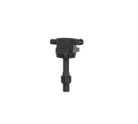 DELPHI Zündspule gn1042212b1 für Volvo