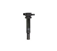 Delphi GN10569-12B1 Zündspule für Hyundai Santa Fé II KIA Carnival Grand