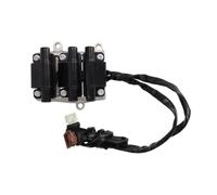 DELPHI Zündspule gn1080612b1 für Audi