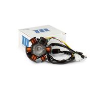 Zündspule Für Ducati 6 Pol 80W Für Husqvarna WRE 50 1996-2011