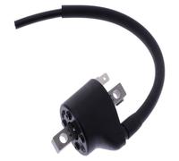 Zündspule für Husqvarna TC 85 17-14 inch Baujahr 2018-2023 von OEM