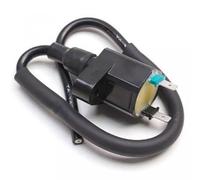 Zündspule HT P2R für Scooter Peugeot 50 Speedfight 1 1997 Ã 2020 Neuware