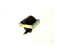 Zündspule MAGNETI MARELLI 060717014012