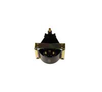 MAGNETI MARELLI Zündspule 060717049012 für RENAULT