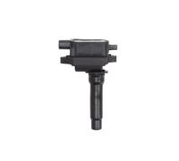 Zündspule MAGNETI MARELLI 060717097012