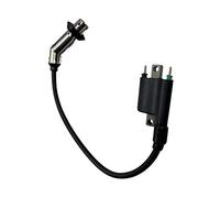 Zündspule mit Kerzenstecker Zündkabel 50ccm Euro 4 Motorroller Luxxon Znen Benero Burnout Casabike