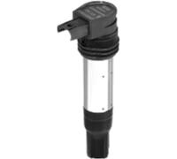 BorgWarner (BERU) ZSE229 Zündspule
