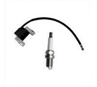 Zündspule Set kompatibel mit 591459, 492341, LG492341 für Rasenmäher und Kleinmotoren, L-Head/OHV Motor Zündmodul aus Metall und Kunststoff, einfache Installation, schwarz