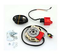 Zündung Innenrotor Elektronik 200g 16x11,5mm HPI für Kreidler Flory, TM, Eiertan