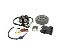 Zündung komplett elektronisch, Kokusan Nachbau für Kreidler Sachs Zündapp DMP