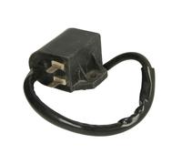 Zündungsmodul INPARTS IP000046