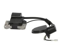 Zündungsmodul INPARTS IP000545