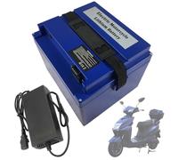 ZXLLAFT Ersatzbatterie 48 V 20 Ah 28 Ah 32 Ah 40 Ah Lithium-Batterie 72 V Elektromotorradbatterien 60 Ah Wiederaufladbare Batterien für Dreiräder mit Ladegerät und Griff,60v32ah 170mm